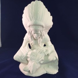 Indian Chief w / Skull